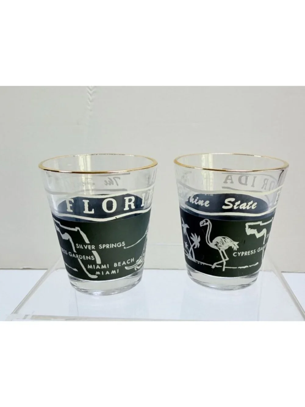 Florida State Shot Glass Set Travel Souvenir Map Flamingo Palm Trees Barware